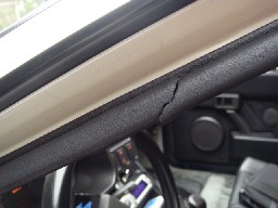 �S���V�[��