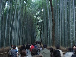 ���s�@���R�@�|��