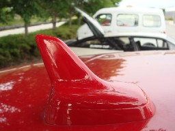 ���[�t�A���e�i