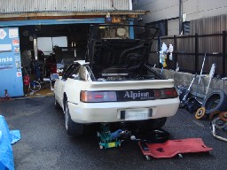 �R���\�}���P�@�I�C������