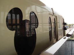 �v���Ԃ�̃f�B�Y�j�[�V�[