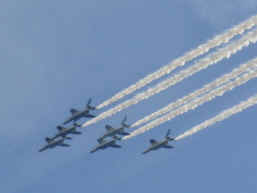 �򕌍q���n�Ձ@2007�@�u���[�C���p���X