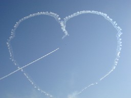 �򕌍q���n�Ձ@2007�@�u���[�C���p���X