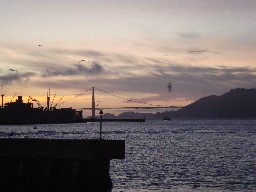 �S�[���f���u���b�W