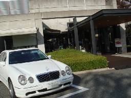 �_�ˉ����X�g�����@�����X