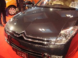 �{���̎�� C6