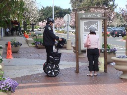 �Z�O�E�F�C�̌x����