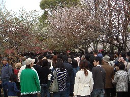 �����ǁ@���@�ʂ蔲��