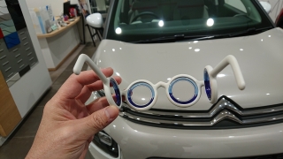 �V�[�g���G��